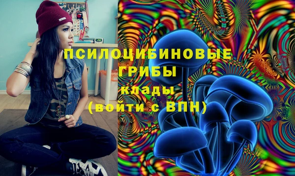 синтетический гашиш Каменка