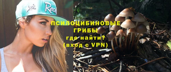 jwh Каменногорск