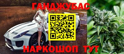 не бодяженный Заводоуковск