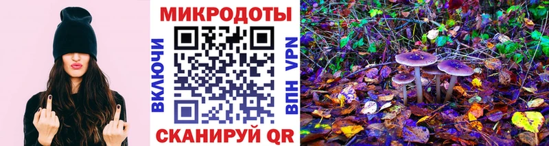 Псилоцибиновые грибы MAGIC MUSHROOMS  Купить закладки  Шадринск 