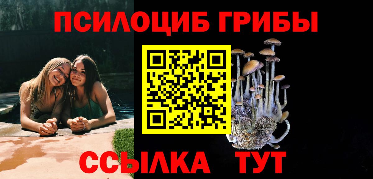 Галлюциногенные грибы Psilocybine cubensis Шадринск